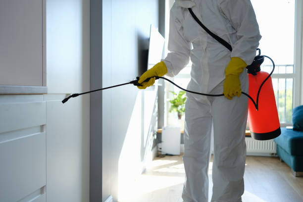 Best Environmental Consulting for Mold Prevention  in New Egypt, NJ